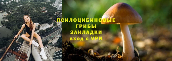 apvp Арсеньев