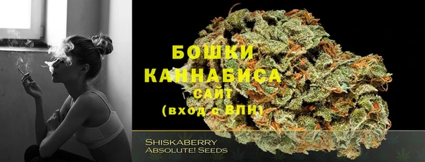 амф Аркадак