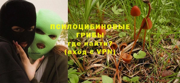 ГАЛЛЮЦИНОГЕННЫЕ ГРИБЫ Армянск