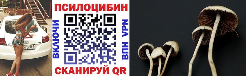 Псилоцибиновые грибы Magic Shrooms  закладка  дарк нет как зайти  Ветлуга 